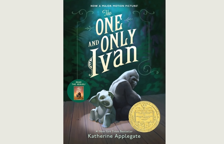 Books 2025: A Quiet Lesson in Animal Welfare and Empathy