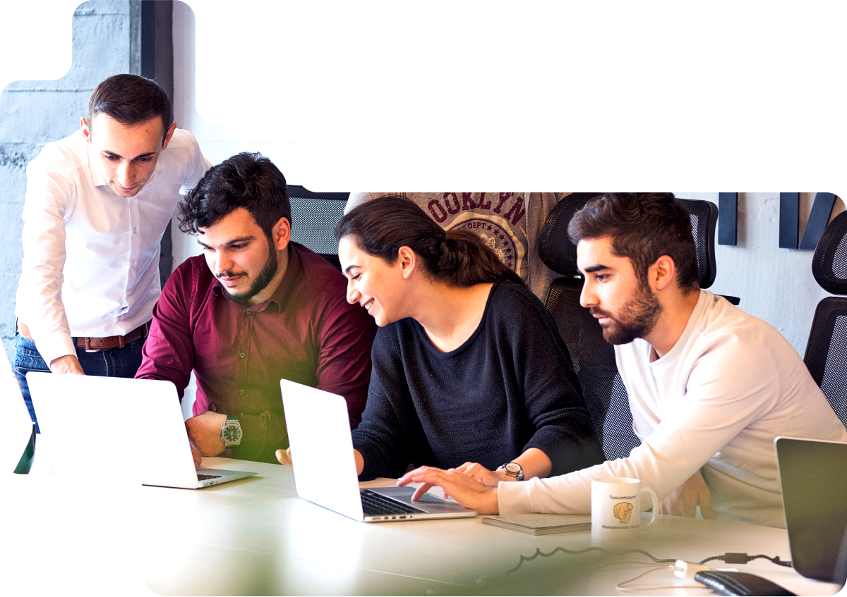 website design and development