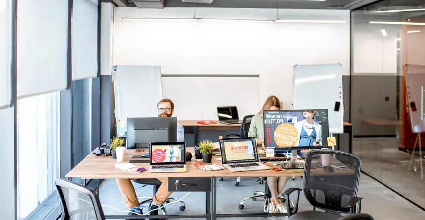 Web Development