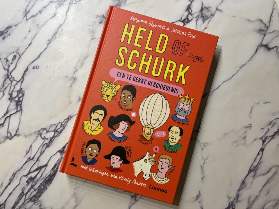 { Boek Recensie } Held of schurk Go or No Go { Boek Recensie } Held of schurk Go or No Go