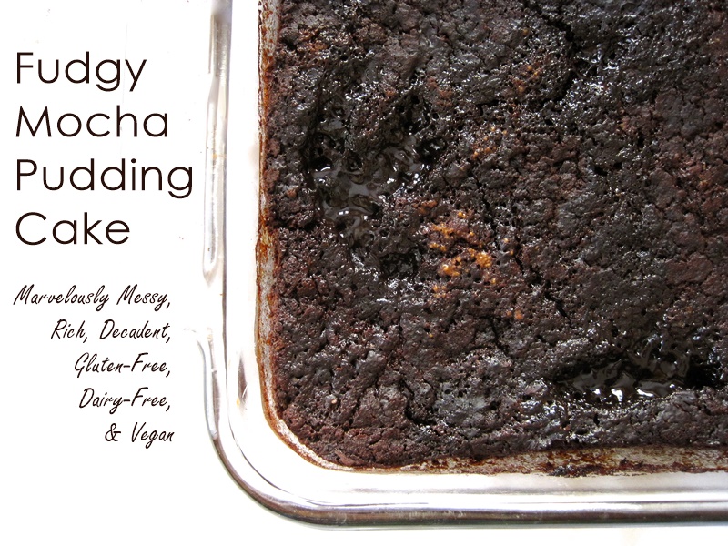 pix Vegan Pudding Cake gluten free fudgy mocha pudding cake