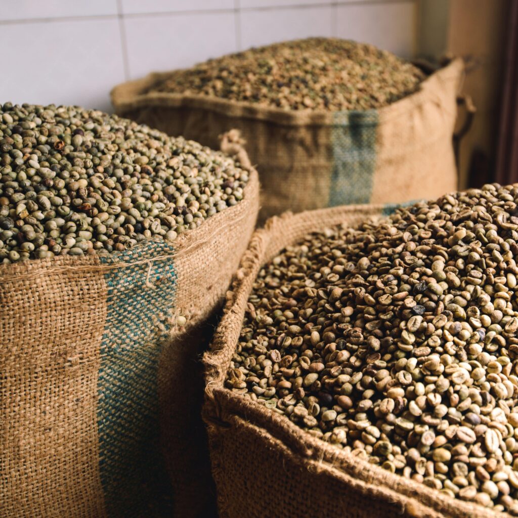 Qu’est-ce que le jute ? Et est-ce durable ?