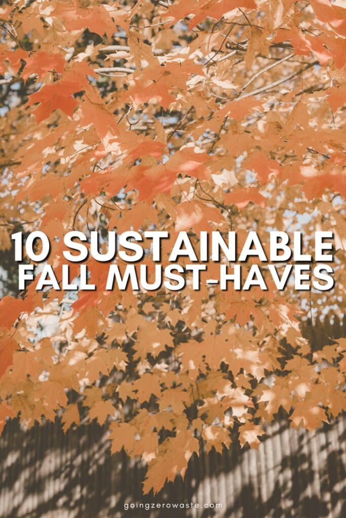 10 incontournables durables pour l’automne