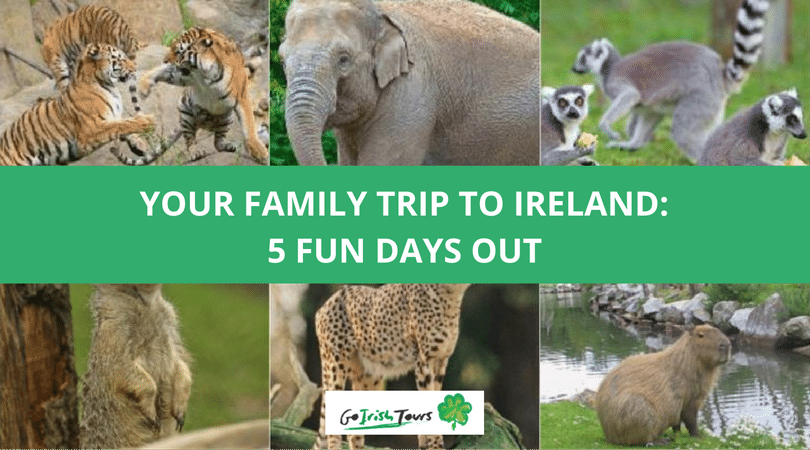 Max michel l2100uspsa @ yahoo.com to: Your Family Trip To Ireland 5 Fun Days Out