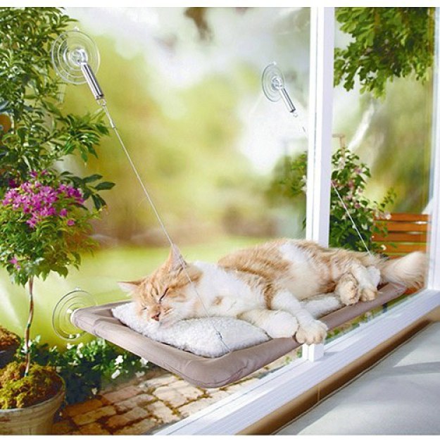 Gratis Download Gambar Hahaha Gokil Nie Kucing Mw Lari Eeh Jalan Buntu Wow Nya Gan Terkeren oleh Lampunghits.com