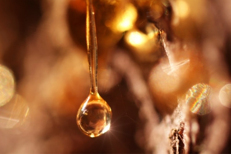 Turtle Wax Bug Tar Remover Automotive Houchen S My Iga