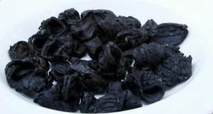 garcinia garcinia