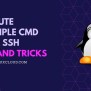 Execute Multiple Commands Over SSH Linux [7 Methods] | GoLinuxCloud