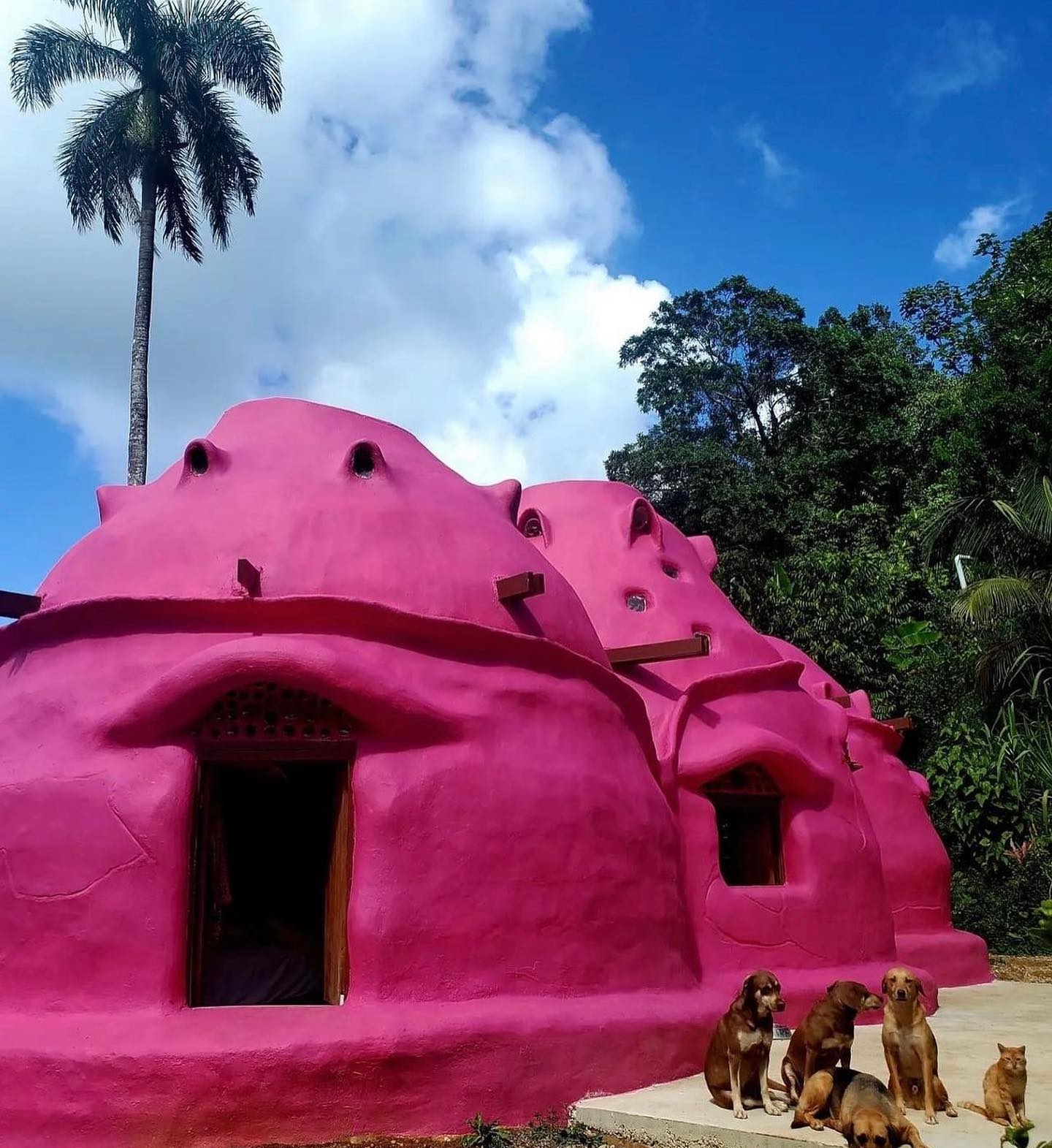 in Utuado Puerto Rico