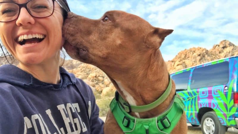 Renting An Adventure Van With Pets Renting An Adventure Van With Pets