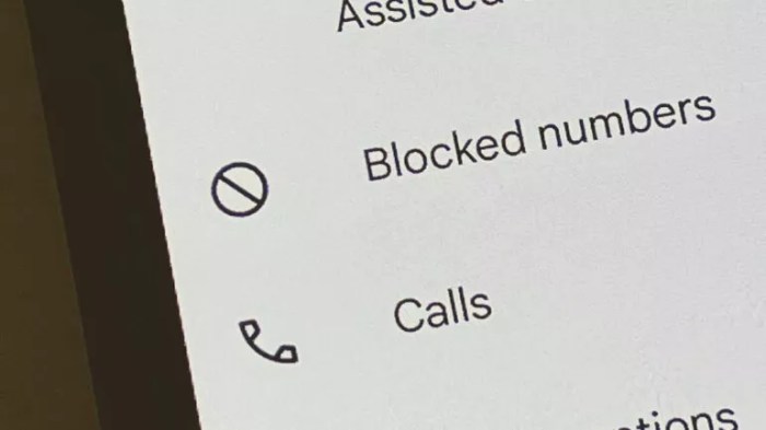 How to See Blocked Numbers on Android - Ug Tech Mag How to tell if your number is blocked android
