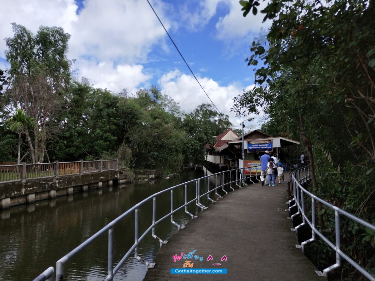 ช้อปชิล ที่ ตลาดบางน้ำผึ้ง สมุทรปราการ แบบ Eco-Tourism 13