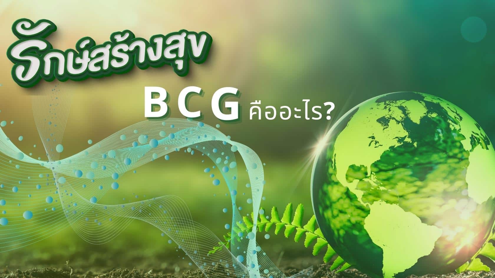 ทำน้อยได้มาก ด้วย BCG Model 2