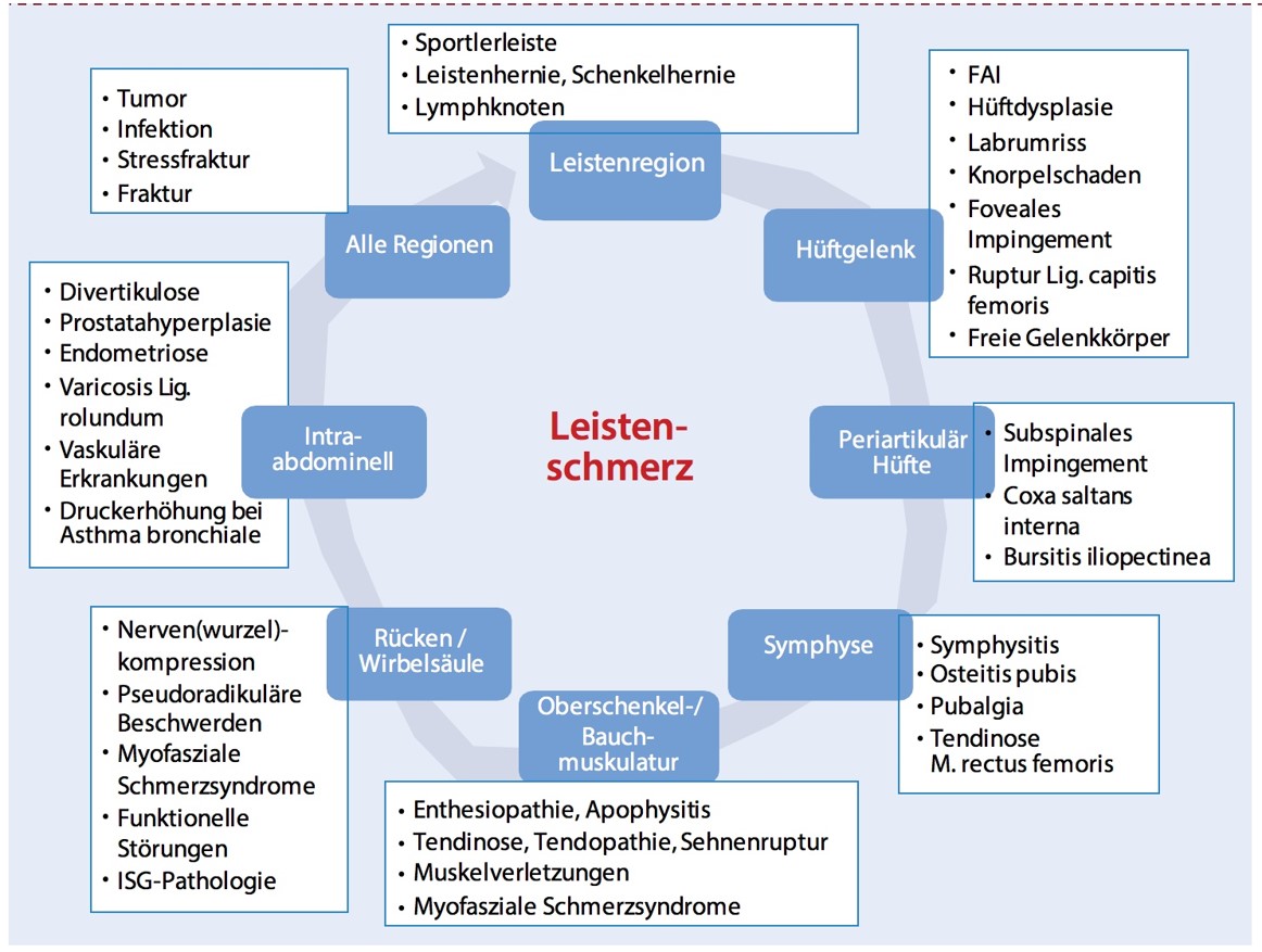 images Coxa Saltans Interna Symptome gesellschaft fur orthopadisch traumatologische sportmedizin