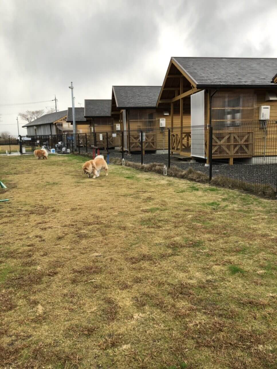 かばたリゾートのドッグランとコテージ
