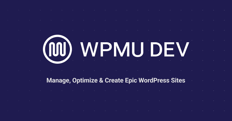 WPMU DEV Google Multisite Privacy 1.1.9