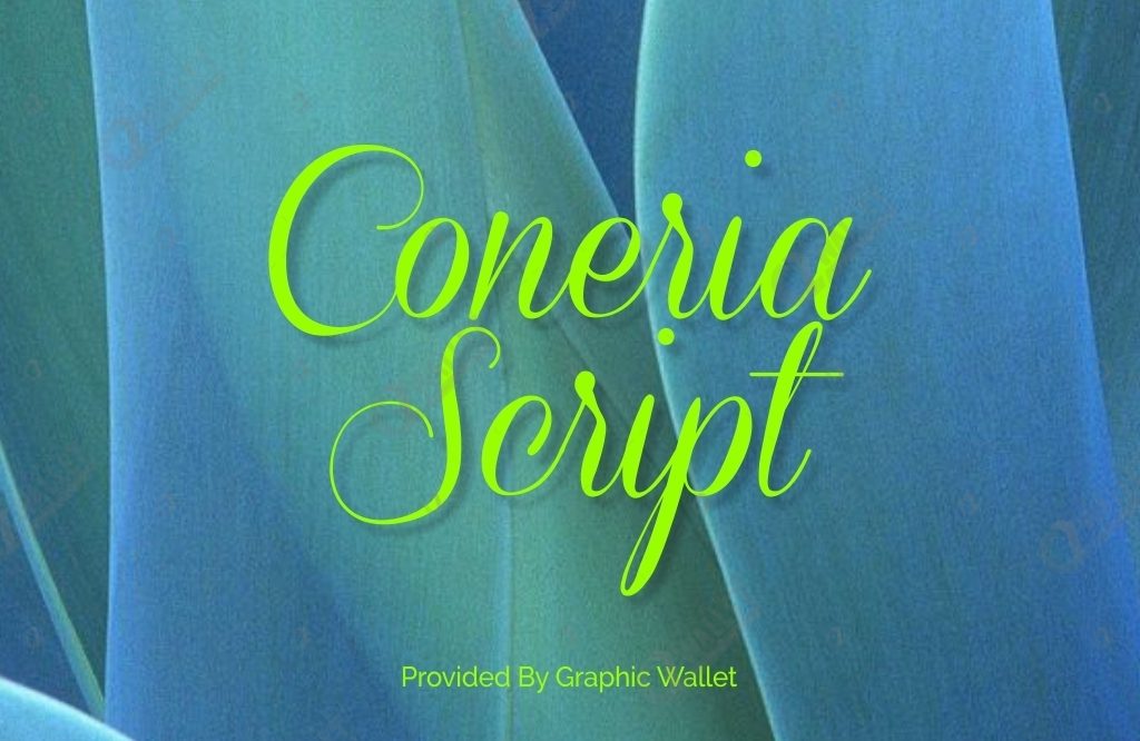 Coneria Script Fat Free Font - Coneria Script Demo Font Family (2 styles) by Måns Grebäck / Votes, rated based on results identification.