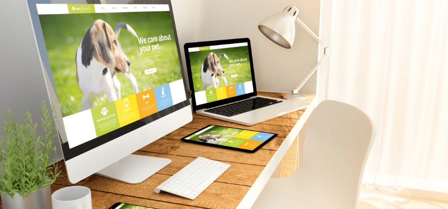 web development