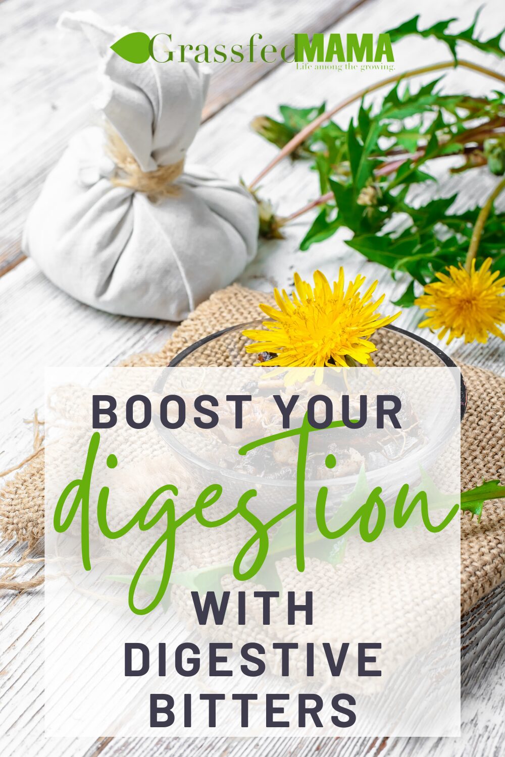 Boost Your Digestion with Digestive Bitters
