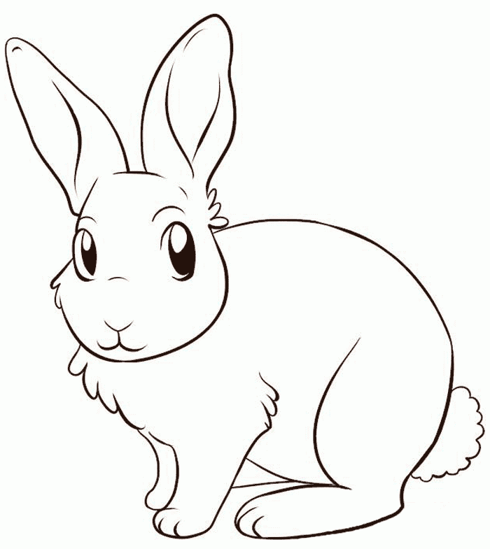 picture Dibujo Conejo Para Colorear E Imprimir gratis todo