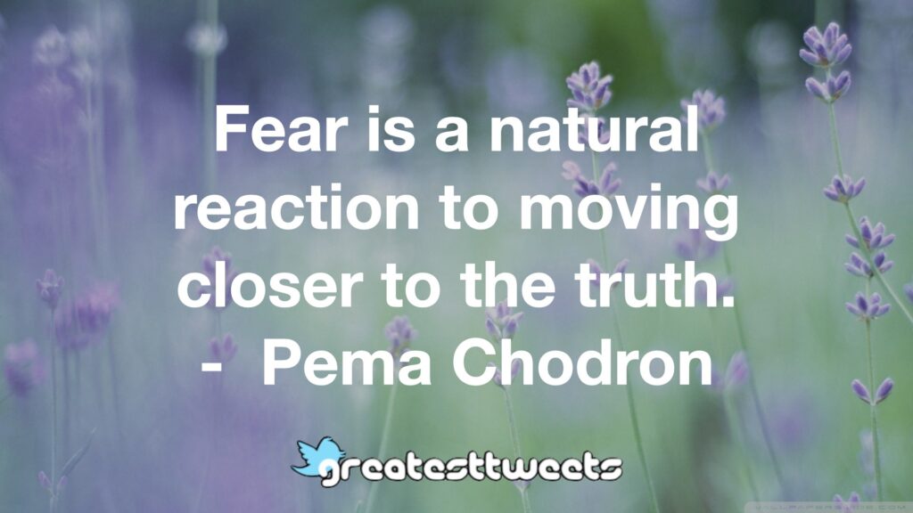 Some of these quotes are from meditation masters (both ancient and modern), others are from famous philosophers, scientists, authors or celebrities. Pema Chodron Quotes Greatesttweets Com