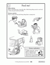 1st grade 2nd grade kindergarten science worksheets body parts