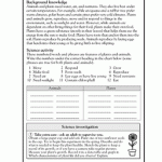 free printable worksheets word lists and activities