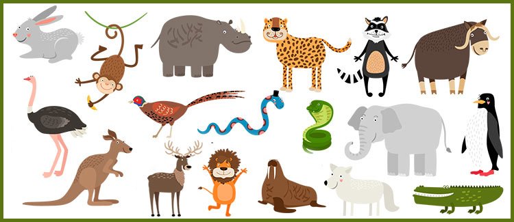 3rd grade science worksheets about animals parenting