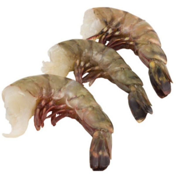 Super Colossal Stuffing shrimp U8 Great White Trading Co.