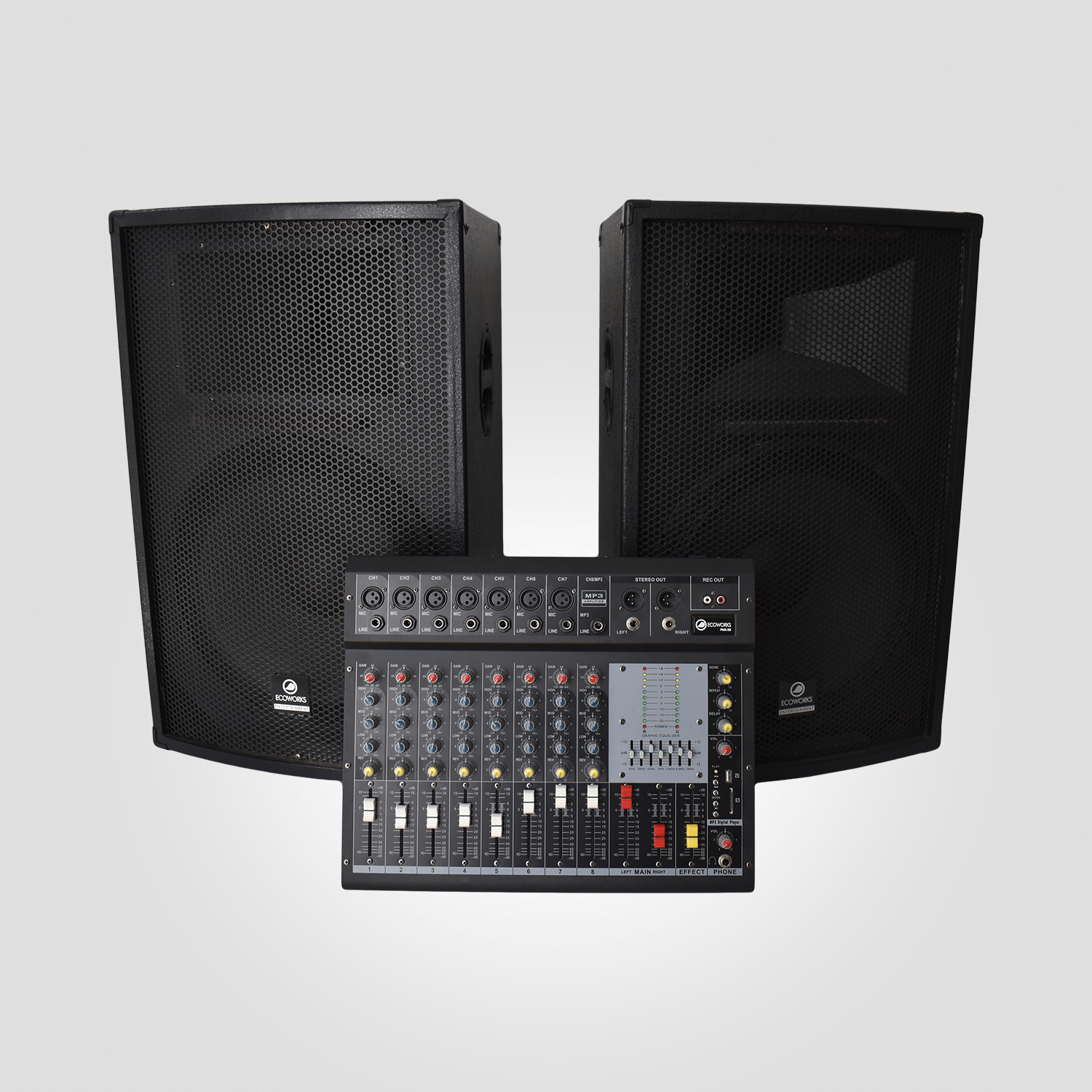 Professional Sound System