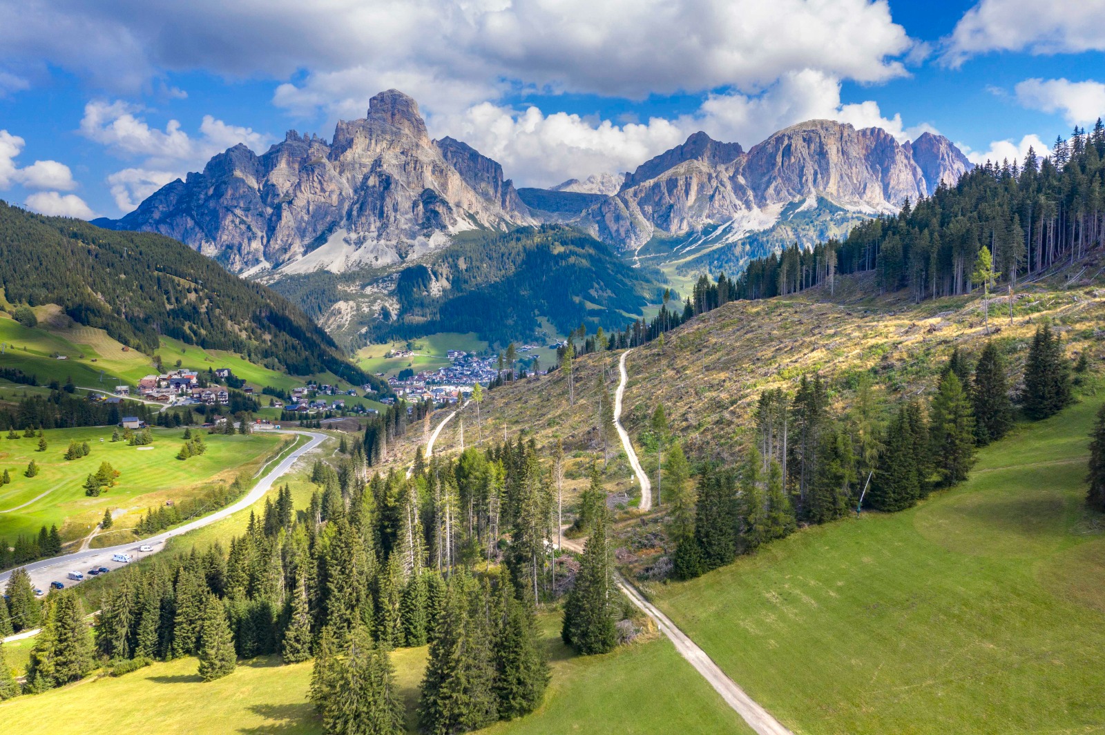 Immagine_Mosaico_Verde