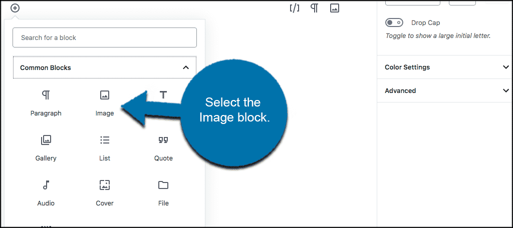 Snippet type execute on child sites snippet // disables the block . How to Add and Align Images in WordPress Gutenberg Block Editor - GreenGeeks