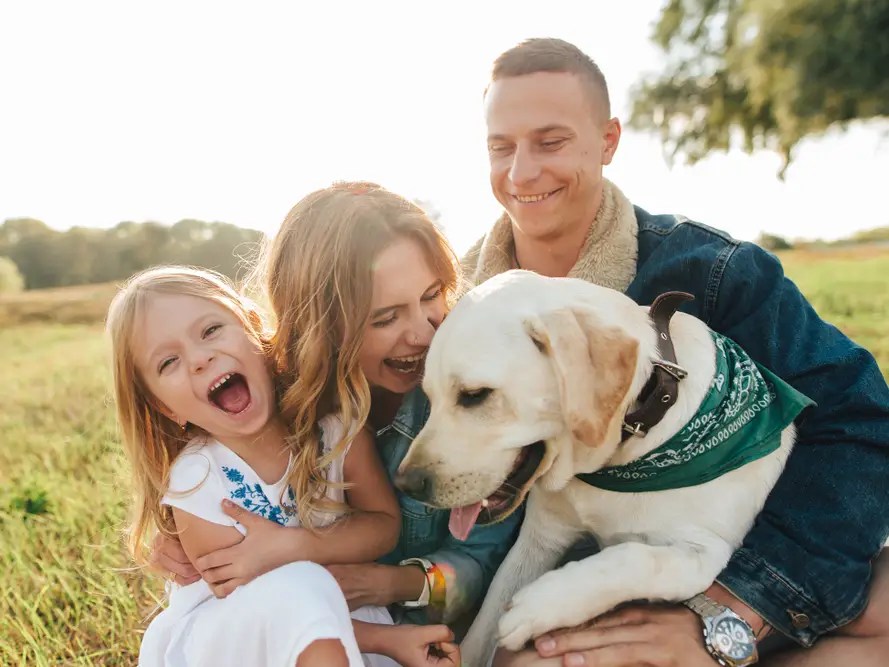 Services. Dentist in American Fork, UT. Dr. Greg G. Pitts DDS, Dr. John William Collins DMD, Dr. Beau Seager DMD. GP Dental & Associates