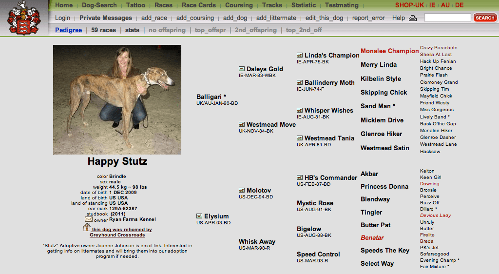 Greyhound Crossroads - Finding Information On Your Greyhound Online 562_x_1024_png