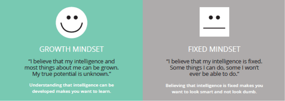 Now we’ve arrived at the most important steps which we must follow to enjoy a growth mindset. Revisiting The Growth Mindset Definition We Are A Mixture Of Both