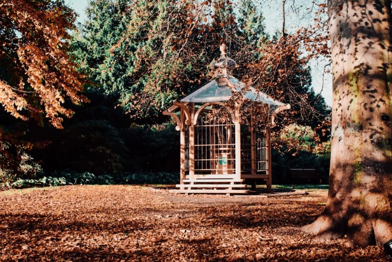 The Royal Botanic Garden Edinburgh | Things to do in Edinburgh in autumn