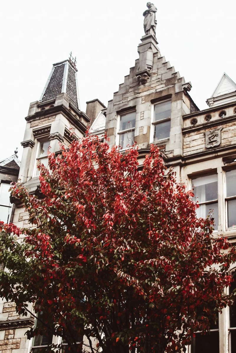 Edinburgh in autumn