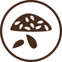 11.png