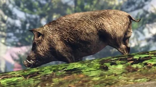 Boar GTA 5 Animals How To Play Where To Find Images Gta 5 Animals Boar.webp
