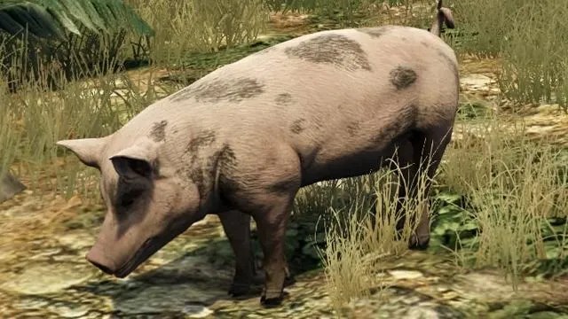 Pig GTA 5 Animals How To Play Where To Find Images Gta 5 Animals Pig.webp