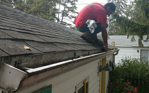 Nephews painting and gutter cleaning has been serving the oak park/river forest area for over . Gutter Cleaning And Repair Services Oak Park Guaranteed Gutters Gutter Cleaning Services Oak Park