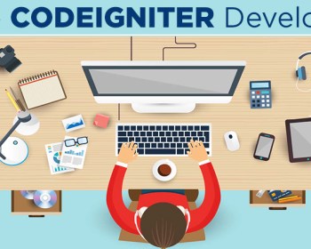 Codeigniter Developer California