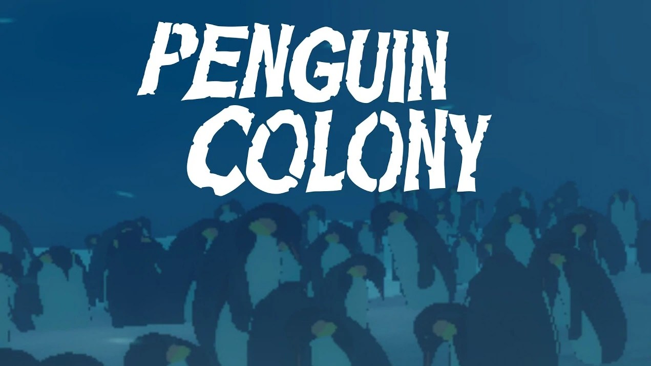 Penguin Colony
