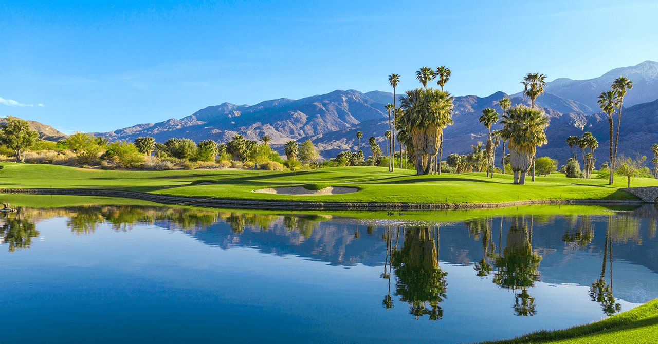 Jon Cheney Etail Palm Springs - Nature Background Collection - HD Quality