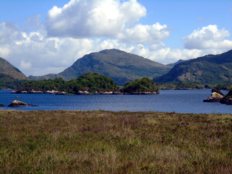 DSC00848