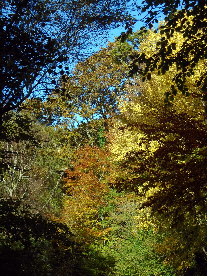 dsc01101