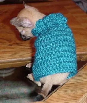 Free easy crochet dog sweater patterns for small dogs videos