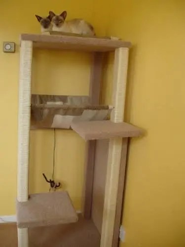 Diy Cat Scratching Post For Your Feline Friends