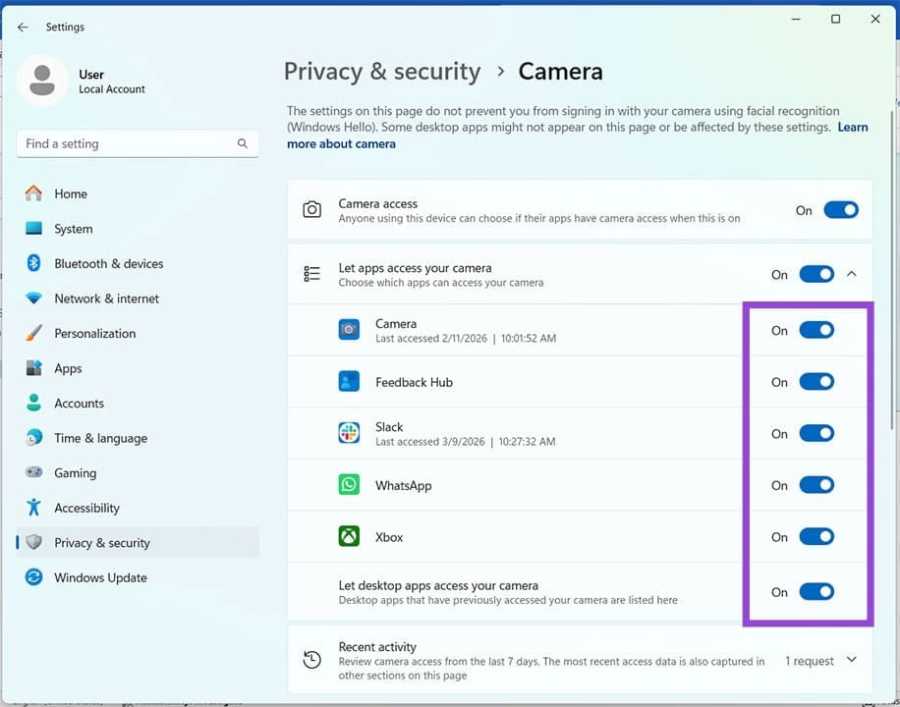 Windows Camera Frame Server High RAM and CPU Usage 6