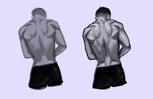 Did you know that your heart beats roughly 100,000 times every day, moving five to six quarts of blood through your body every minute? How To Draw The Human Back A Step By Step Construction Guide Gvaat S Workshop